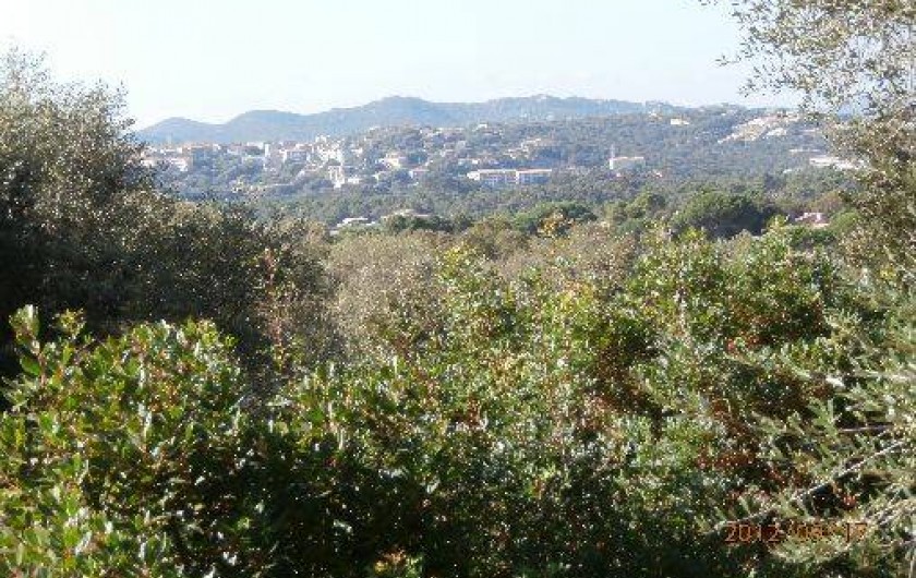 Location de vacances - Villa à Porto-Vecchio