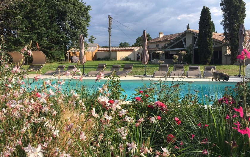 Location de vacances - Gîte à Lougratte - parc et sa piscine à partagée avec les 3 gîtes