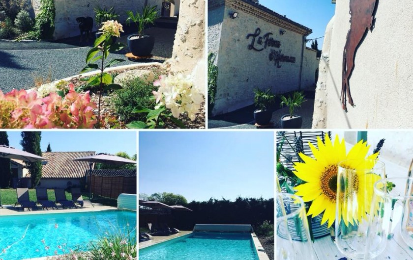 Location de vacances - Gîte à Lougratte - vue d'ensemble