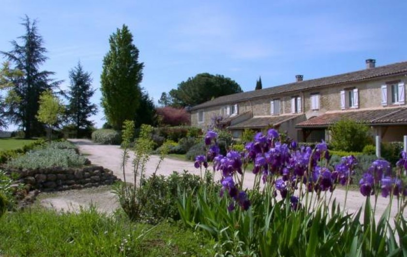 Location de vacances - Gîte à Condom