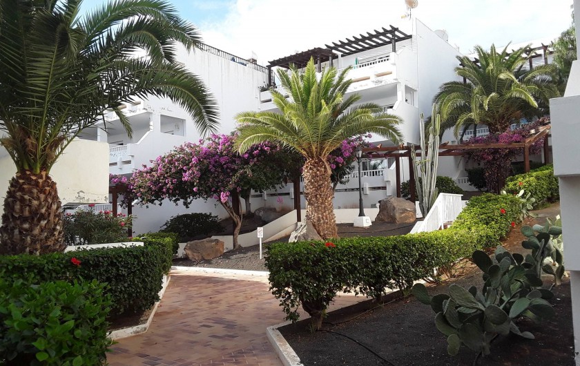 Location de vacances - Appartement à Costa Teguise
