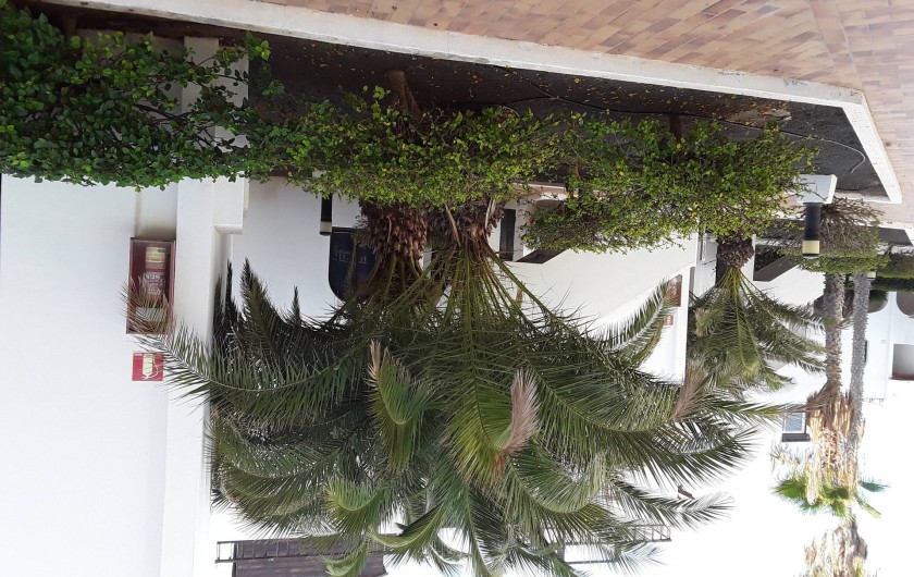 Location de vacances - Appartement à Costa Teguise