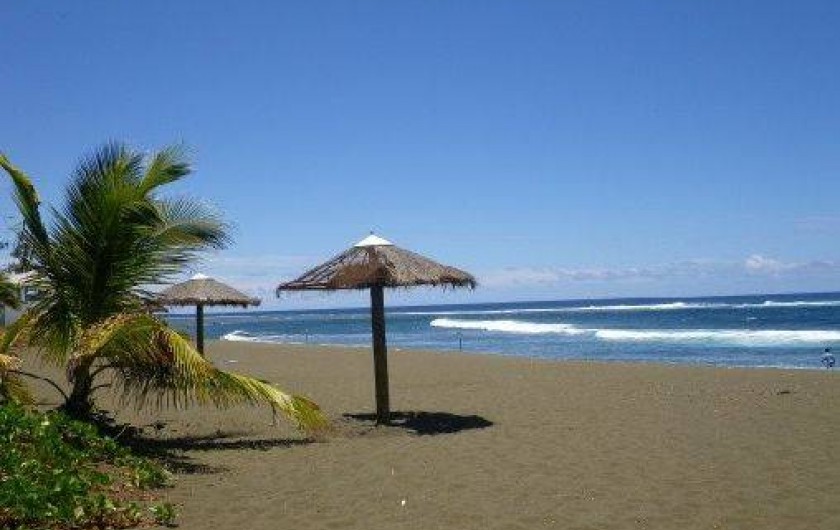 Location de vacances - Appartement à L'Étang-Salé