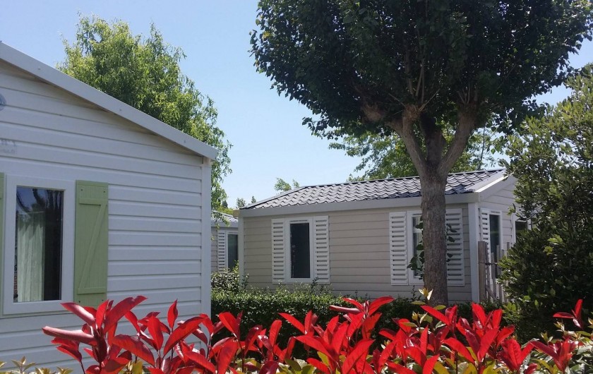 Location de vacances - Camping à Saint-Jean-de-Monts - Camping Plein Sud_Location_Calme & Nature