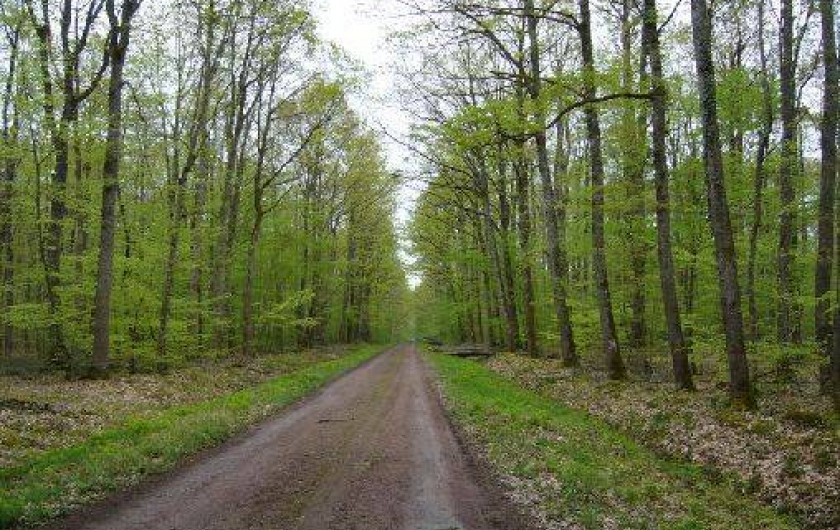 Location de vacances - Gîte à Chavenon