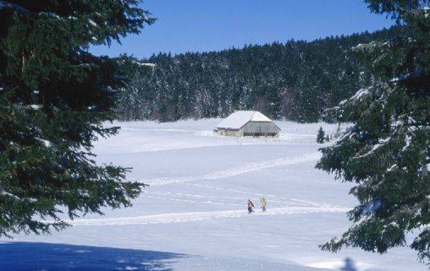 Location de vacances - Gîte à Hotonnes