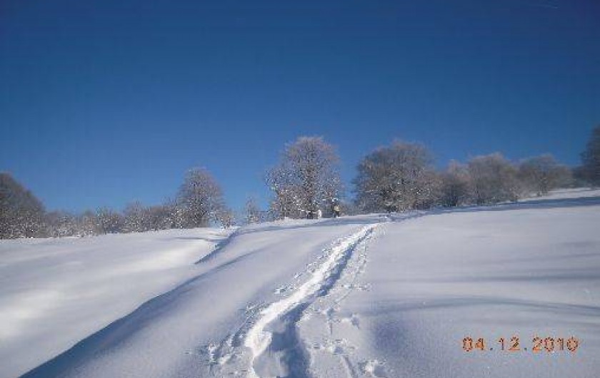Location de vacances - Gîte à Hotonnes