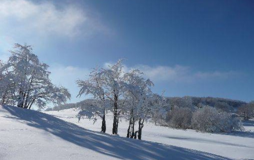 Location de vacances - Gîte à Hotonnes