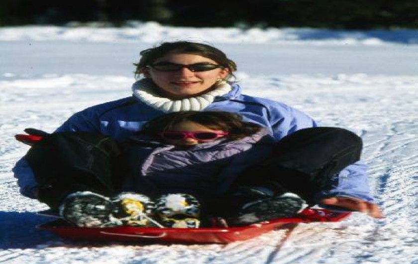 Location de vacances - Gîte à Hotonnes