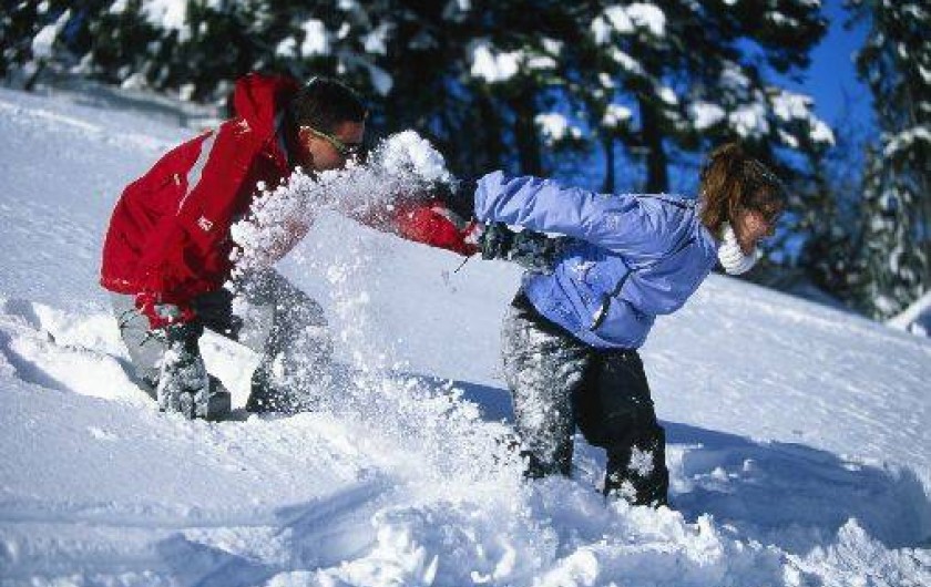 Location de vacances - Gîte à Hotonnes