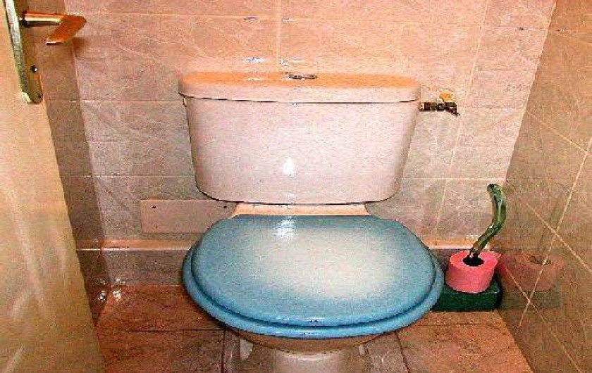 Location de vacances - Maison - Villa à Le Grau-du-Roi