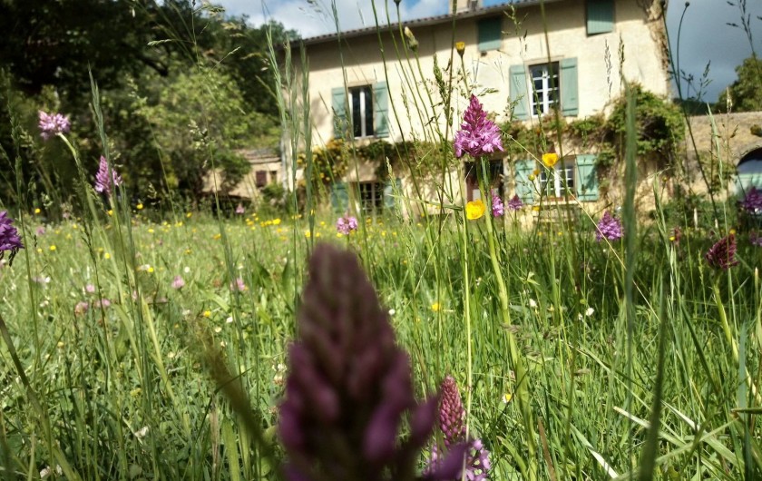 Location de vacances - Gîte à Chalabre