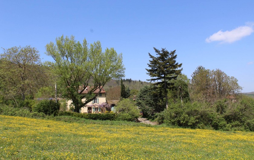 Location de vacances - Gîte à Chalabre