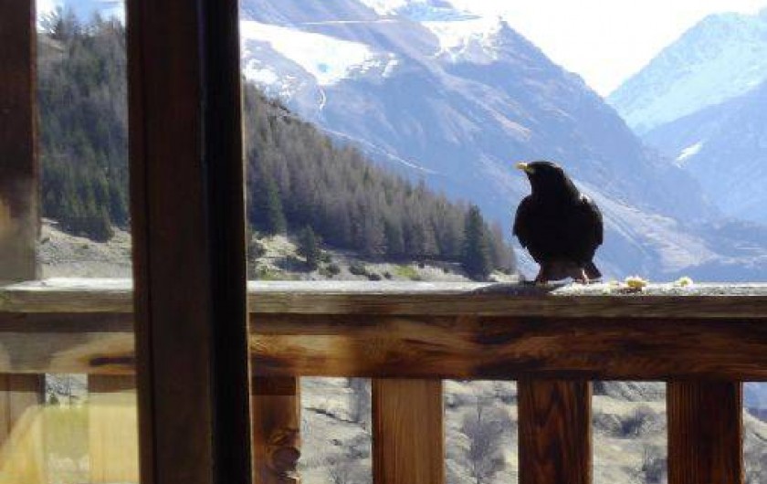 Location de vacances - Appartement à Auris