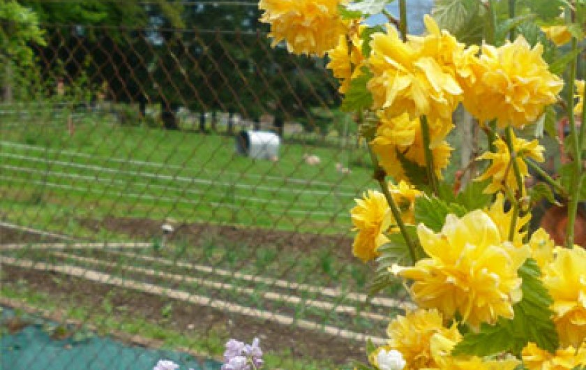 Location de vacances - Gîte à Hurbache