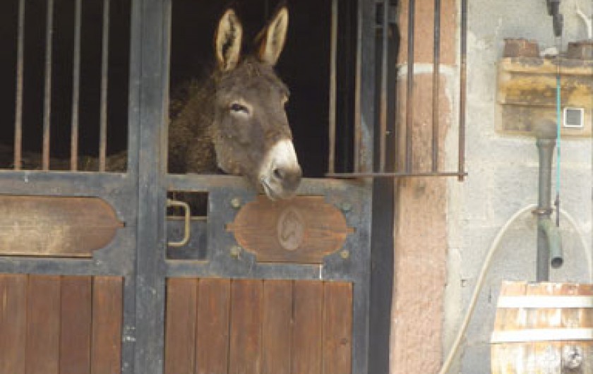 Location de vacances - Gîte à Hurbache