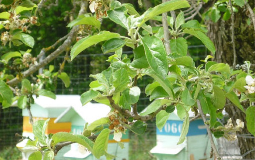 Location de vacances - Gîte à Hurbache