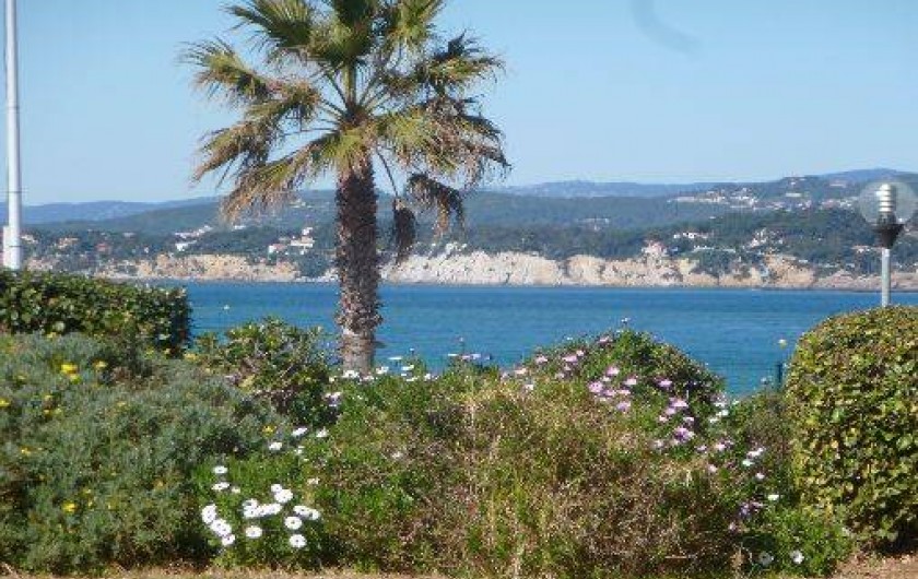Location de vacances - Appartement à Six-Fours-les-Plages - La vue de l'appartement