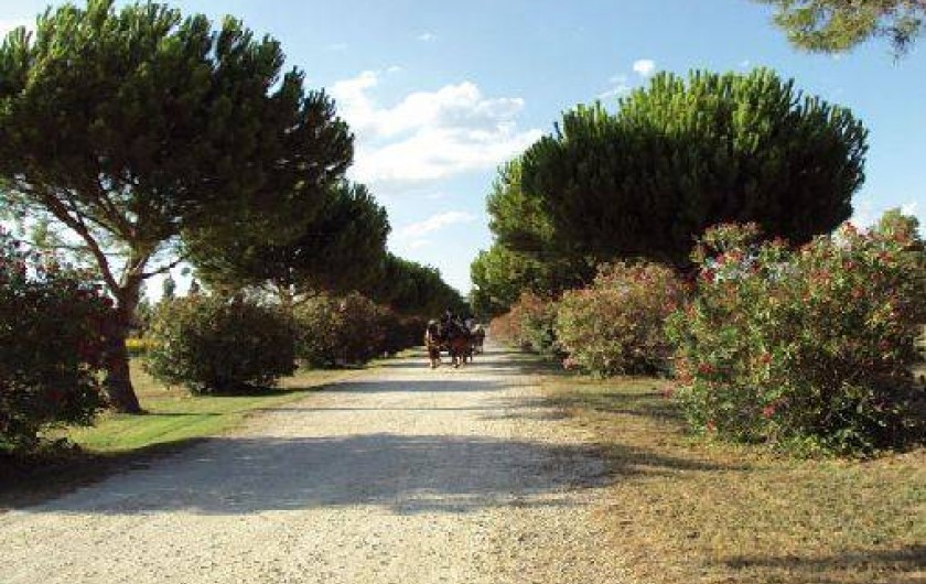 Location de vacances - Maison - Villa à Nîmes