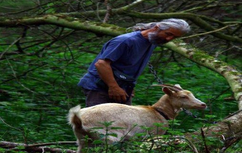 Location de vacances - Gîte à Saint-Quay-Perros