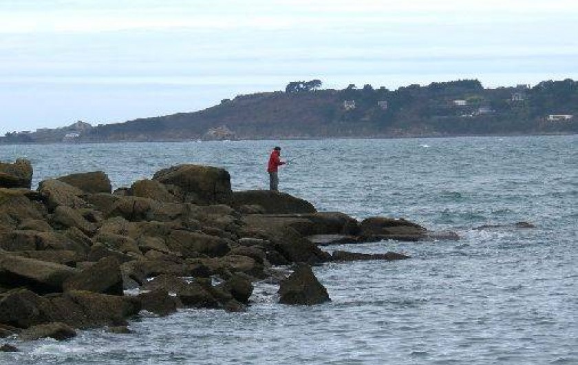 Location de vacances - Gîte à Saint-Quay-Perros