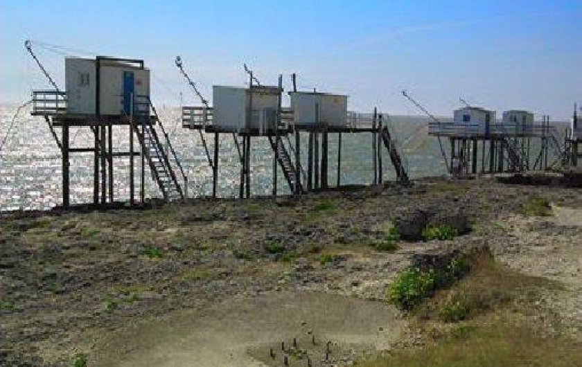 Location de vacances - Appartement à Vaux-sur-Mer