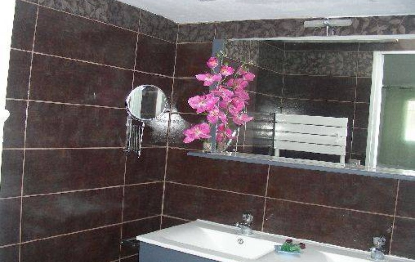 Location de vacances - Studio à Six-Fours-les-Plages