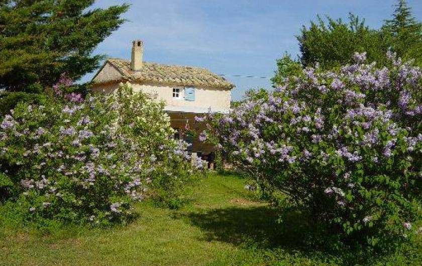Location de vacances - Gîte à Simiane-la-Rotonde