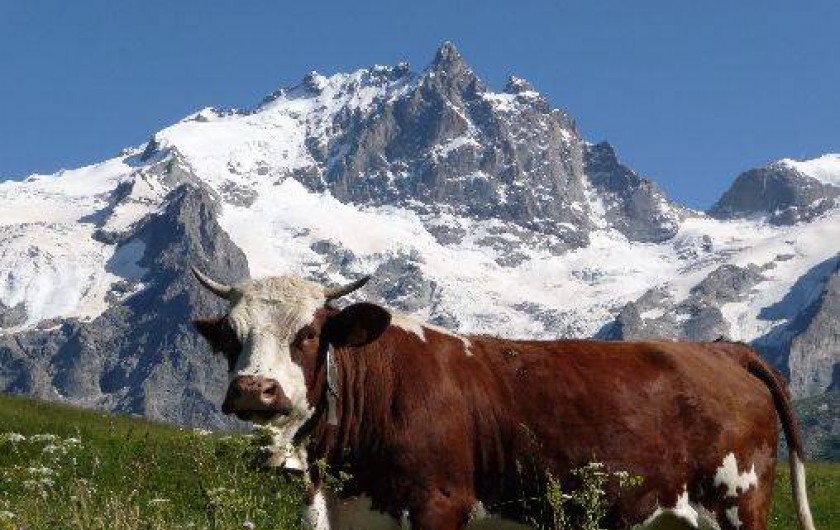 Location de vacances - Studio à La Grave