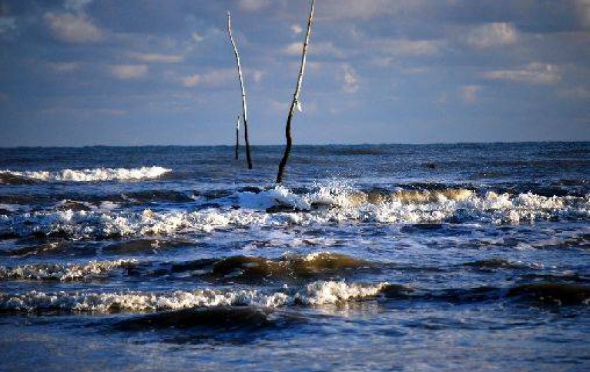 Location de vacances - Chambre d'hôtes à Saint-Martin-de-Varreville