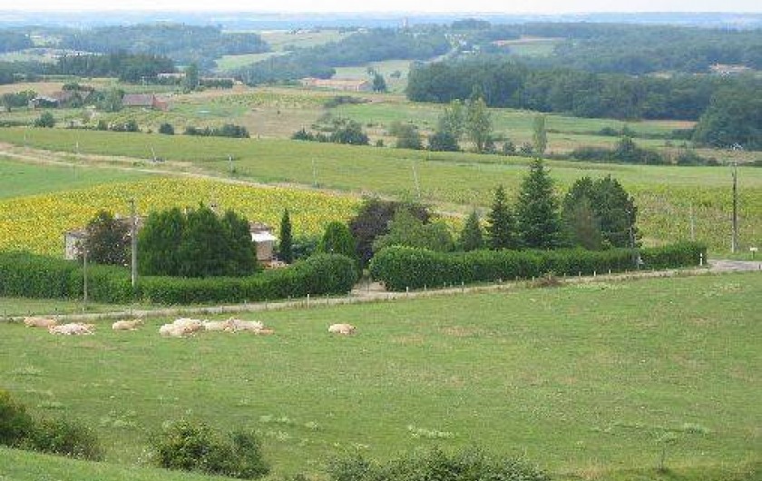 Location de vacances - Maison - Villa à Loubès-Bernac