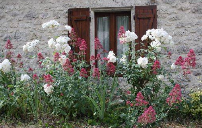 Location de vacances - Maison - Villa à Loubès-Bernac