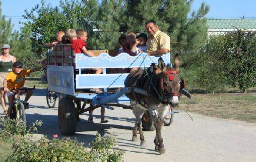 Location de vacances - Camping à Challans