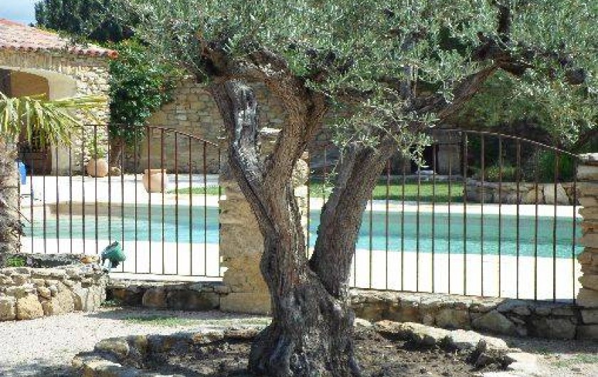 Location de vacances - Studio à Senas