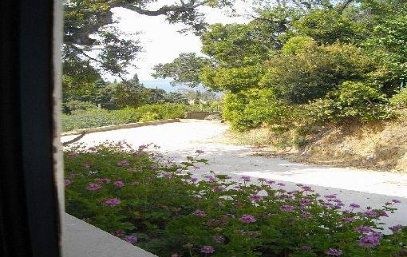 Location de vacances - Villa à Le Lavandou