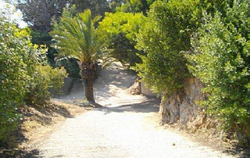 Location de vacances - Villa à Le Lavandou