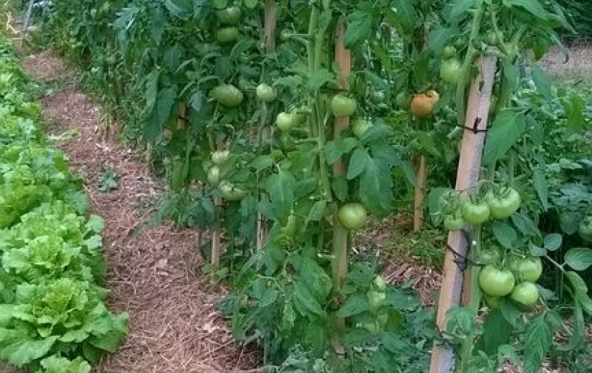 Location de vacances - Maison - Villa à Marsaneix