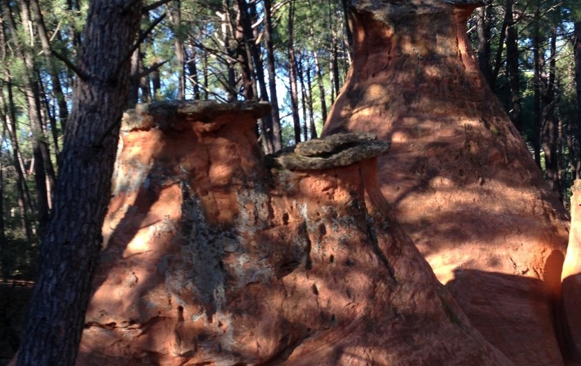 Location de vacances - Villa à Bédoin - Les demoiselles Coifées