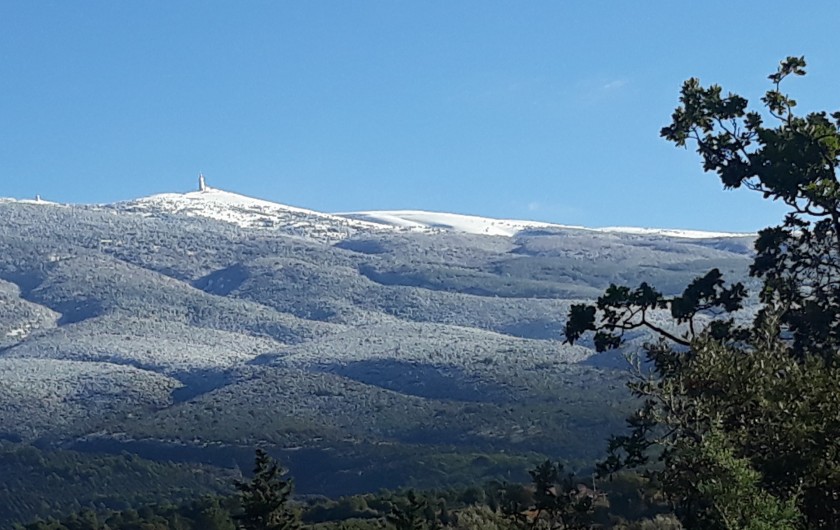 Location de vacances - Villa à Bédoin