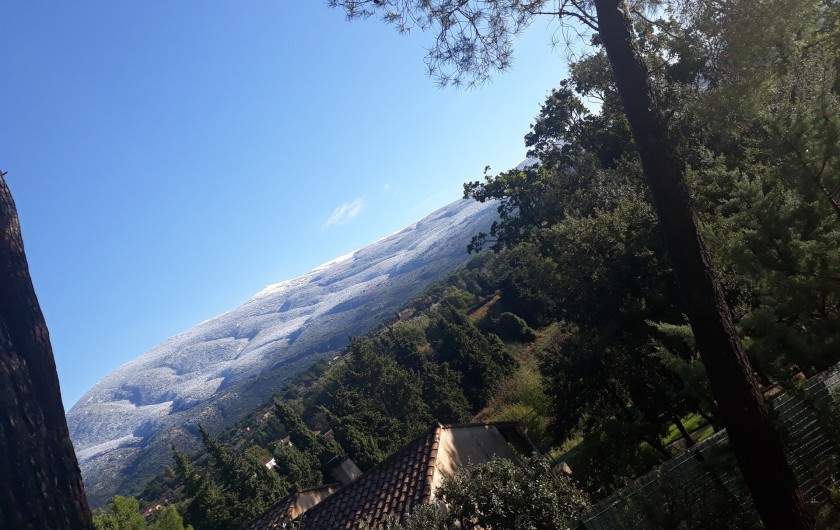 Location de vacances - Villa à Bédoin