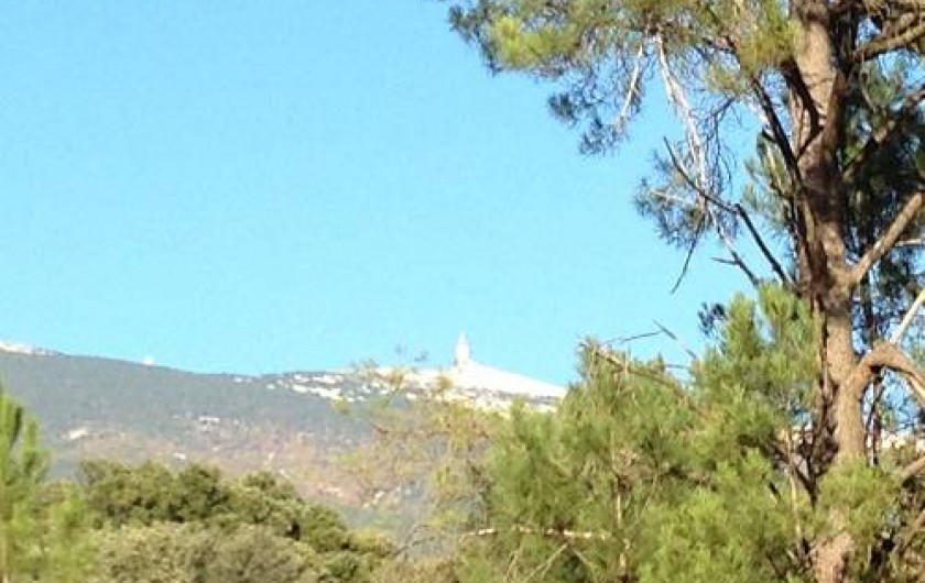 Location de vacances - Villa à Bédoin - vue sur le ventoux à partir de la cuisine