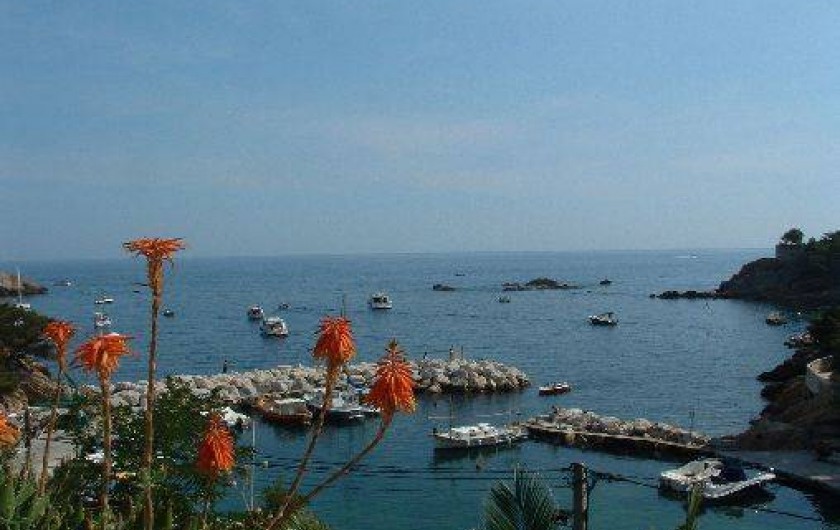 Location de vacances - Gîte à Ensuès-la-Redonne