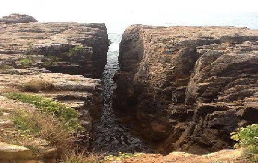 Location de vacances - Appartement à Le Château-d'Olonne