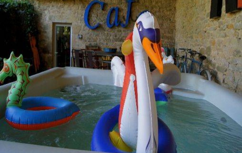 Location de vacances - Chambre d'hôtes à Salles-Courbatiès