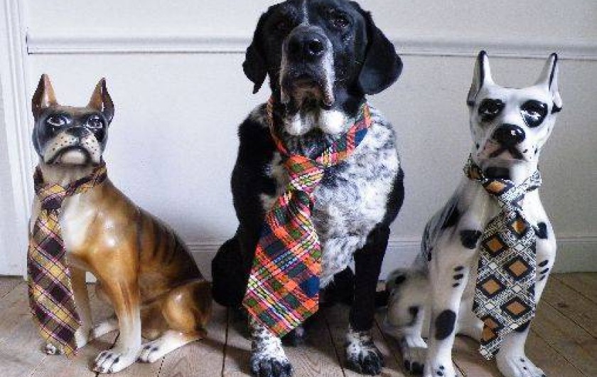 Location de vacances - Chambre d'hôtes à Salles-Courbatiès