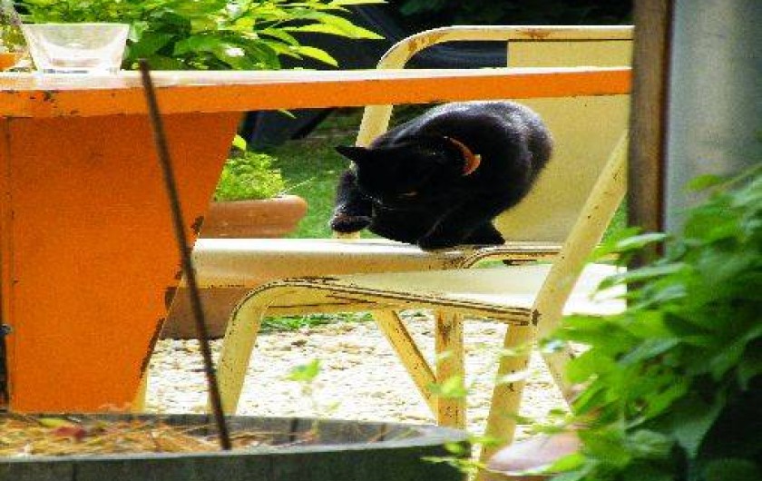 Location de vacances - Chambre d'hôtes à Salles-Courbatiès