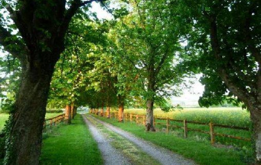 Location de vacances - Gîte à Thianges