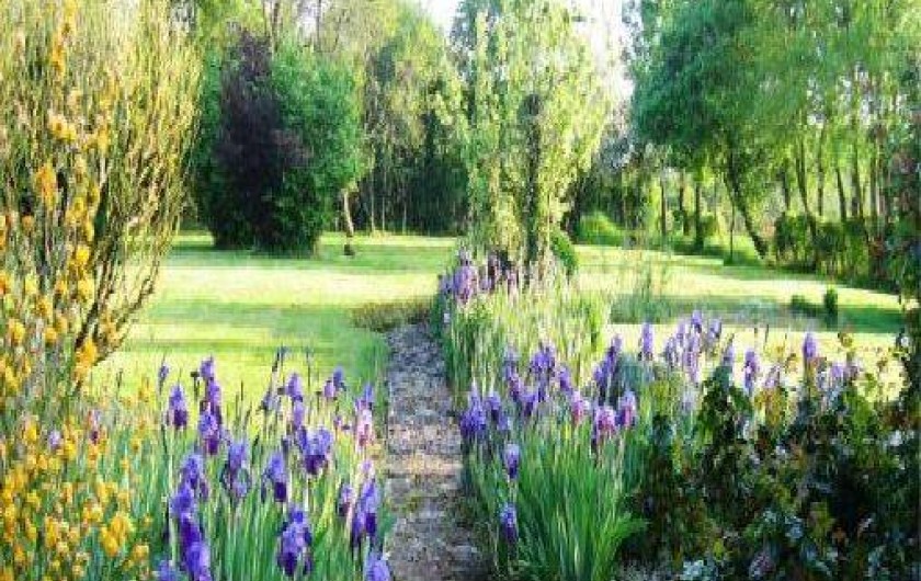 Location de vacances - Gîte à Thianges