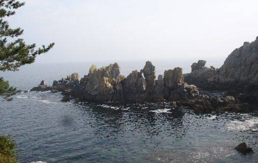 Location de vacances - Maison - Villa à Plouhinec