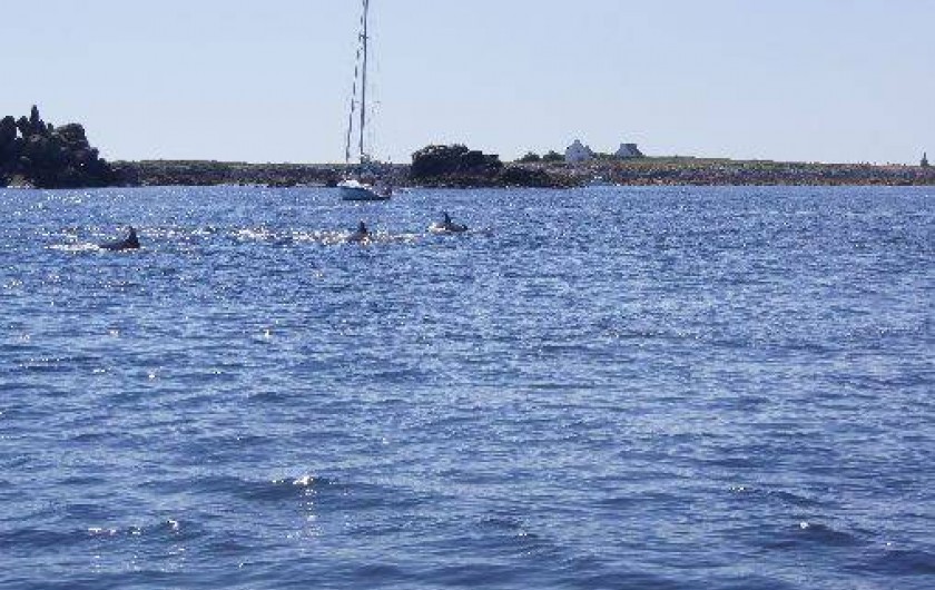 Location de vacances - Maison - Villa à Plouhinec